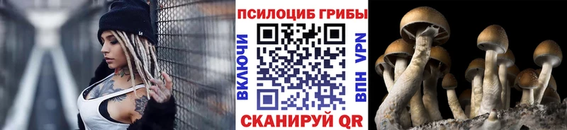 Псилоцибиновые грибы Psilocybine cubensis  Миасс 