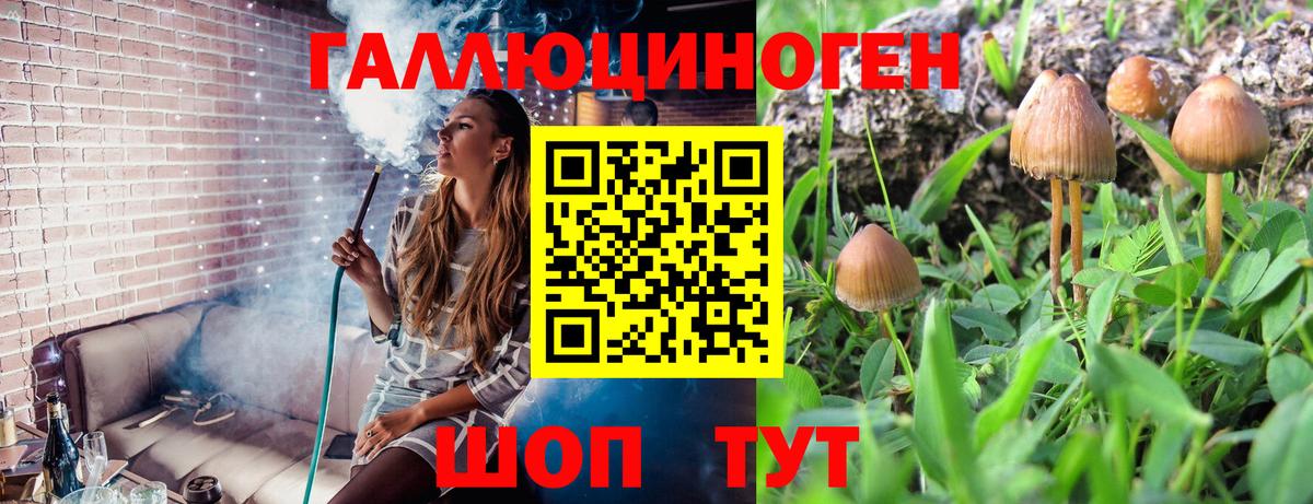 Alpha PVP Миасс