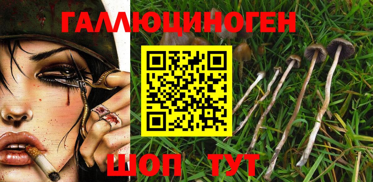 как найти закладки  Миасс  Псилоцибиновые грибы Psilocybe 