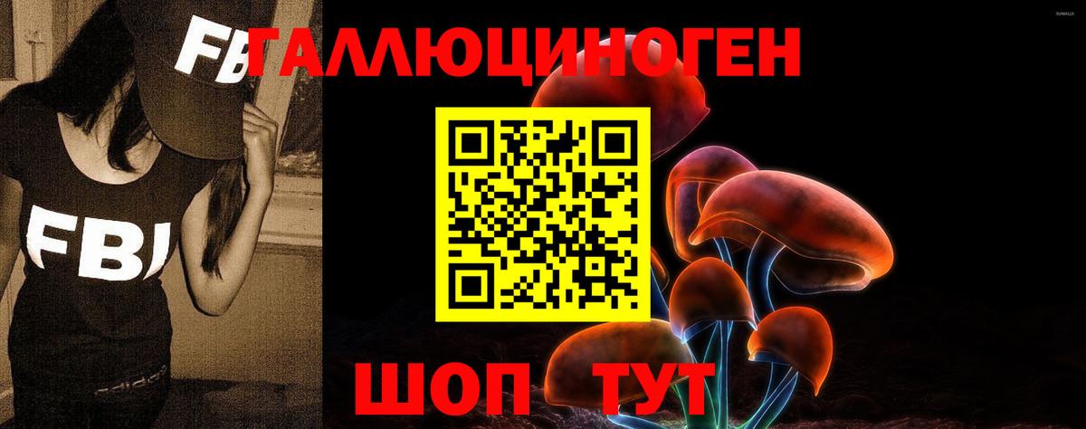 Миасс  Галлюциногенные грибы Psilocybe  Вход с VPN 